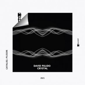 Download track Reverse (Original Mix) David Pulido