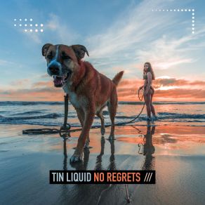 Download track No Regrets Tin Liquid