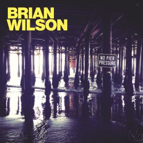 Download track Somewhere Quiet Brian Wilson