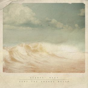 Download track Surf The Orange Water Giants' Nest