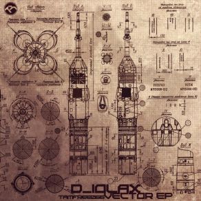 Download track Vector D - Iolax