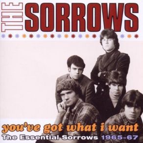 Download track Take A Heart (Stereo Album Version) The Sorrows