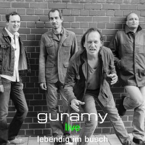 Download track Spitz Ferdinand (Live) Guramy