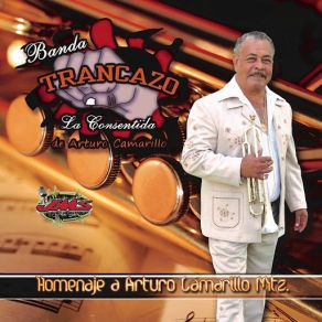 Download track La Marcha De Los Elefantitos (Version Carnavalera) Banda Trancazo