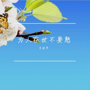 Download track 男人有个坏习惯 王桂华