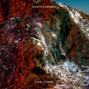 Download track Dusty Harvest (Radio Edit) Luzi Tudor