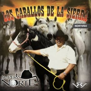 Download track José Rivas Perales Super Norte