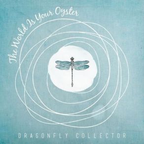 Download track There Is No Remaining In Place Dragonfly Collector