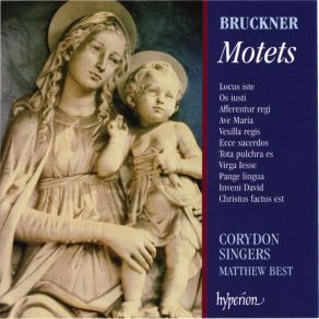 Download track Bruckner Offertorium - Inveni David Bruckner, Anton