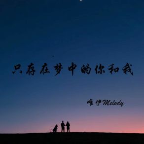 Download track 自己内心的酸楚 唯伊Melody