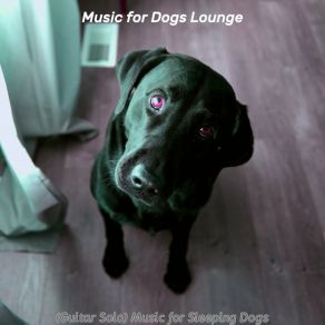 Download track Easy Ambience For Lonely Dogs Music For Dogs Lounge