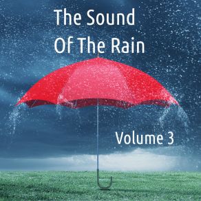 Download track Unexpected Rain The Sound Of The Rain