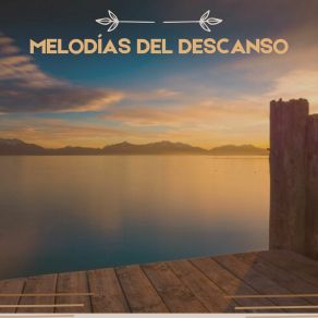 Download track Sonidos Para Relajarse Madizon Relajación Profunda