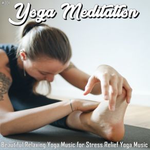 Download track Meditative Yoga Zen Music Garden