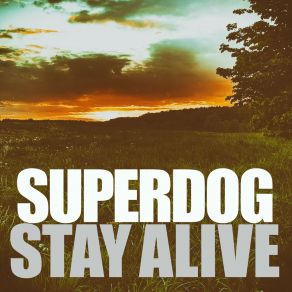 Download track Hello Again And Again Superdog