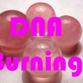 Download track I. W. Y. S. Bad DNA BURNING