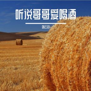 Download track 人这一辈子无非就四个字 刘云会