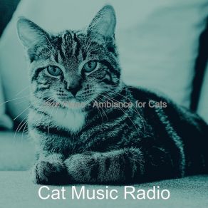 Download track Divine Solo Piano Jazz - Vibe For Cats Cat Music Radio