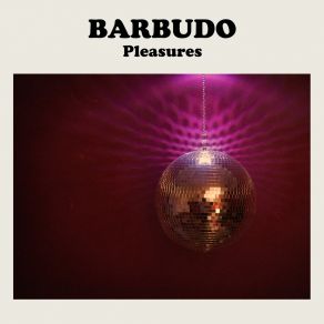 Download track Disco Sucks BARBUDO