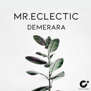 Download track Demerara (Original Mix) Mr. Eclectic