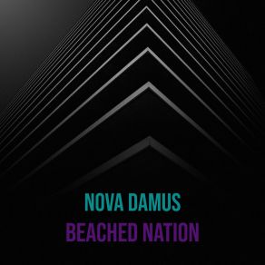 Download track Brave Silver Nova Damus