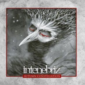 Download track Grey Morning In Tenebriz