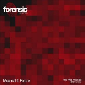 Download track Hear What Was Said (Marcelo Vasami Remix) Ferank Manseed, Mooncat