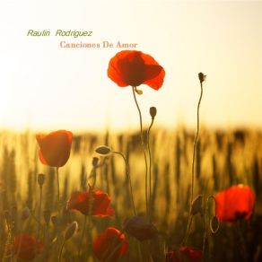 Download track Dame Corazon RAULIN RODRÍGUEZ