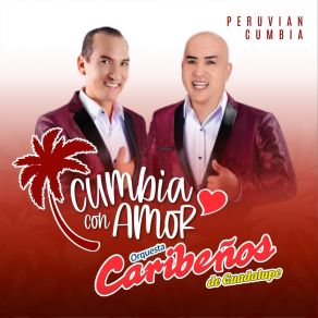 Download track No Quiero Un Adiós Orquesta Caribeños De Guadalupe