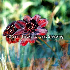 Download track Rapid Sleeping White Noise For Baby Sleep