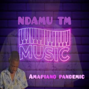 Download track Pure Suprise Amapiano NDAMU TM MUSICPS DJz, Andy The Dj