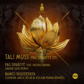 Download track Om Namo Vasudevaya (QDream Remix) Tali MussQDream