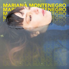 Download track Sólo Vine A Bailar Mariana Montenegro