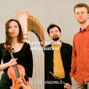 Download track Sonata For Flute, Viola And Harp, L. 137: III. Finale Pelléas Ensemble