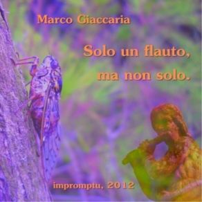 Download track Ondo V Marco Giaccaria