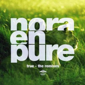 Download track True (Lexer Radio Edit) Nora En Pure