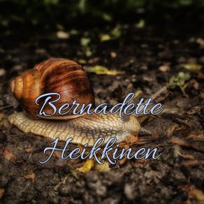 Download track From Pop Bernadette Heikkinen