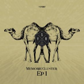 Download track The Snake Memorie Cluster