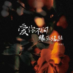 Download track 爱你不问缘灭缘起 (X1.1) 以安听风的蝉