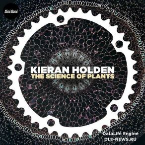 Download track The Science Of Plants (Club Bizarre Remix) Kieran Holden