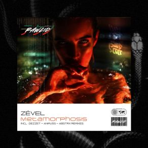 Download track Metamorphosis (Dezzet Remix) ZévelDezzet