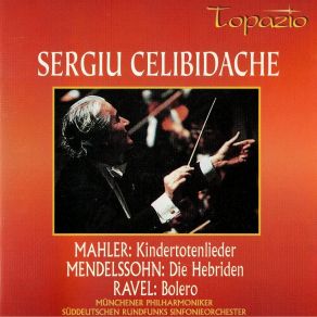 Download track 05. V. In Diesem Wetter Gustav Mahler