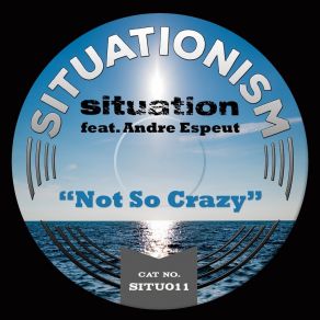 Download track Not So Crazy (Audio Luxury Remix) Situation