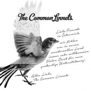 Download track Time Has No Mercy The Common Linnets