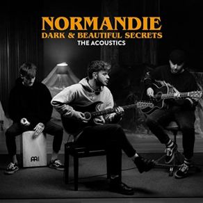 Download track Chemicals (Acoustic Version) Normandie