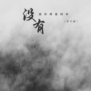 Download track 没有被你疼爱的命 (伴奏) 李宁静