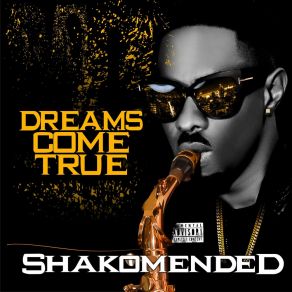 Download track Labule Shakomended