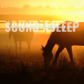 Download track Relaxing Animal Farm Early Evening Sounds, Pt. 2 Elijah Wagner