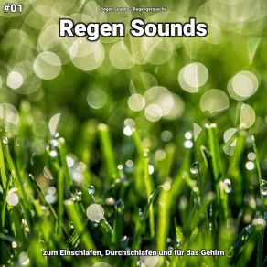 Download track Regen Sounds, Pt. 48 Regengeräusche