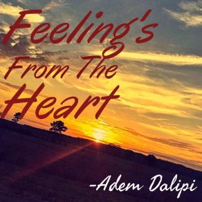 Download track Why Aren't Things The Same Adem Dalipi